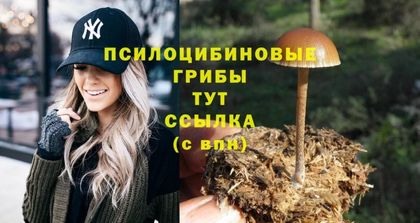 СК Строитель