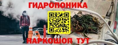 индика Беслан