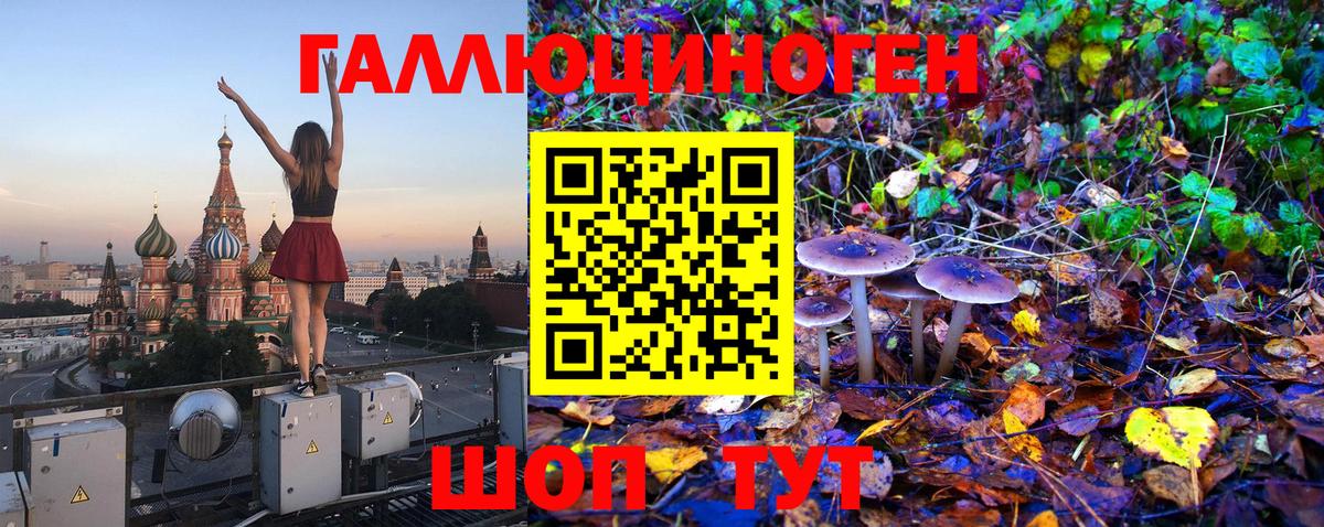 Псилоцибиновые грибы Cubensis  Псилоцибиновые грибы Psilocybine cubensis  где купить наркотик  Воркута 