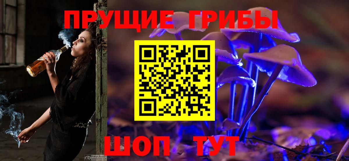 Галлюциногенные грибы Psilocybine cubensis Воркута