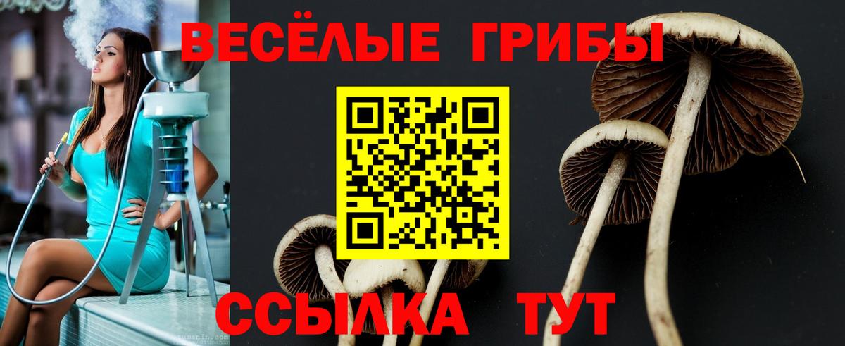 Воркута  Галлюциногенные грибы Psilocybine cubensis  Вход с VPN 