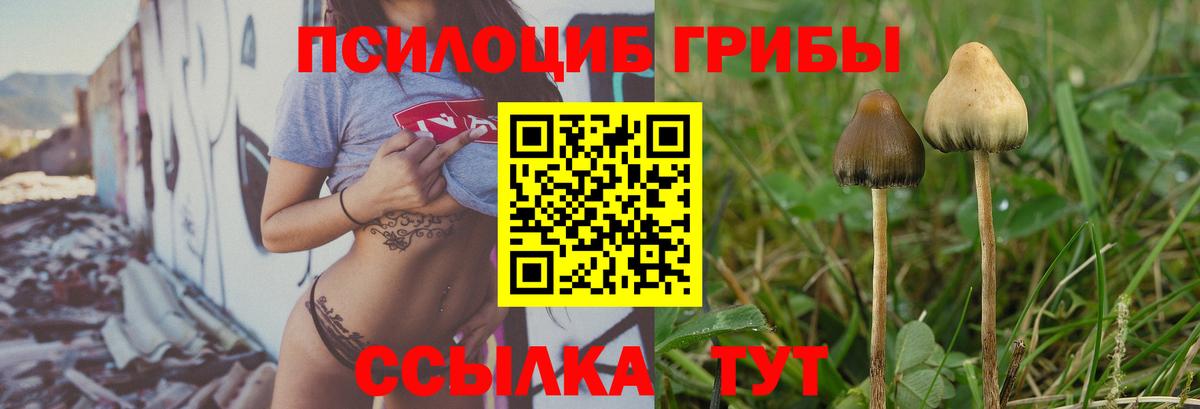 Галлюциногенные грибы прущие грибы Воркута